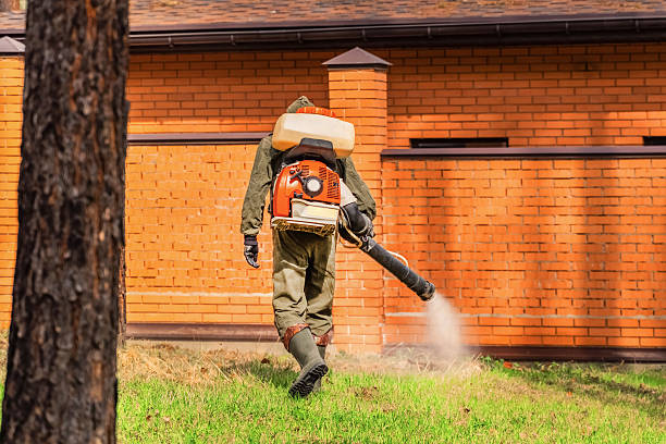 Trusted Termite Control service in Pocono Springs, PA - Nex Pest Control